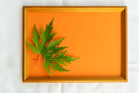 Green leaves composition inside a photo frame over orange pastel background. Flat lay, top view,copy space.の写真素材