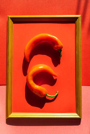 Flat lay Red fresh hot chili pepper in frame on red and pink background.