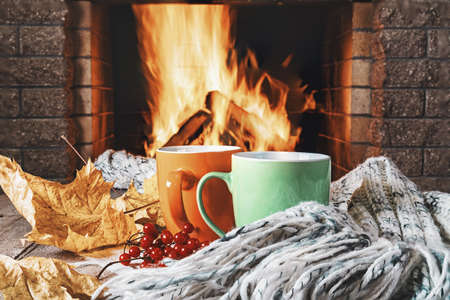 Red mug of tea or coffee, woolen thing and viburnum berries near a cozy fireplace, in a country...