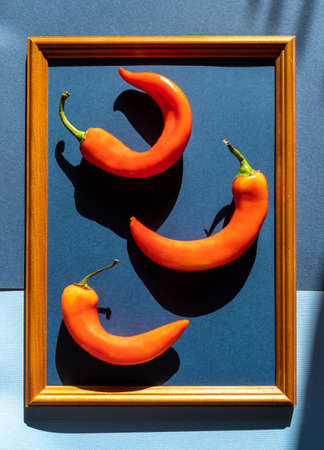Flat lay Red fresh hot chili pepper in frame on blue paper background.