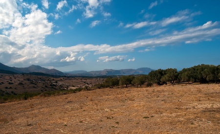 Olive groves on the island of Crete. Greece.の写真素材