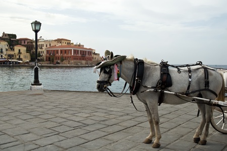 Traditional Horse and Cart on quay of city of island Crete, Greece . on quay of city of island Crete, Greece .の写真素材