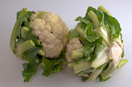 Freshly cut  cauliflower cabbage  isolated on white .の写真素材