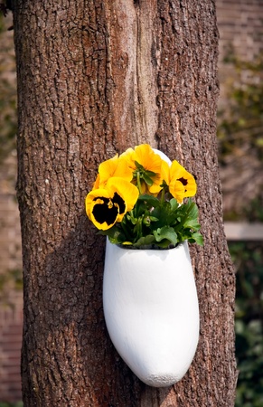 Traditional Dutch wooden clogs from growing in it with flowers, decorate the tree trunk.の写真素材