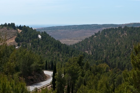 Jerusalem hills during the summer. Israel .の写真素材