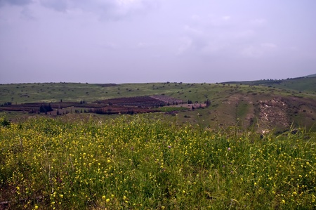 Spring landscape. Golan. Israel.の写真素材