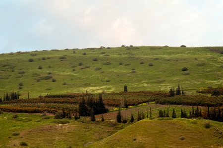 Spring landscape. Golan. Israel.の写真素材