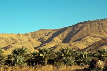 Mountain in the Galilee from north to west . Israel .の写真素材