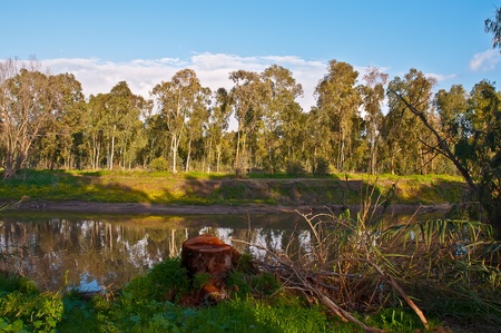 River in the Israeli National Park in winter.の写真素材