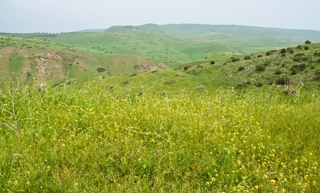 Spring landscape  Golan  Israel の写真素材