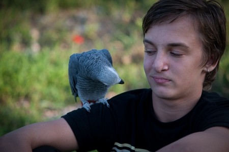 Portrait of a teenage boy with a gray parrot African grays Jaco.の写真素材