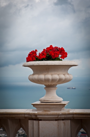 Ceramic vase with flowers on a background of the sea の写真素材