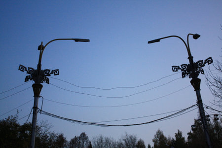 Urban Streetlight Silhouettes with Electrical Wires Against Blue Evening Sky.の写真素材