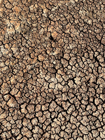 Dry Cracked Soil Texture Background in Natural Sunlight. Vertical Photo