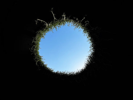View of Blue Sky from Circular Opening with Grass Rimの写真素材