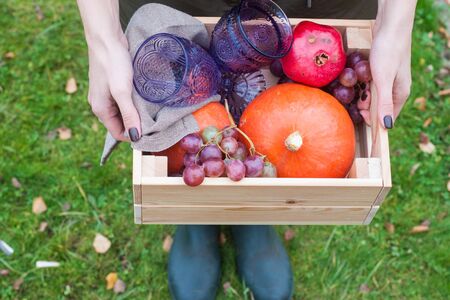 Hands holding wooden box with vegetables: pumpkin, grape, pomegranate and glasses of wine. Close up.の写真素材