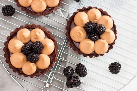 Blackberry tarts with caramel whipped cream and chocolate filling on metal cooling rack. Grey...
