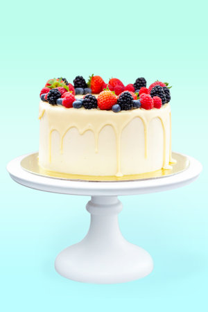Cheesecake with white chocolate and fresh berries isolated on plain backgroundの写真素材