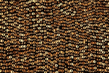 Gold Sequinの写真素材