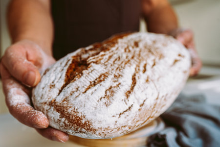 Rye craft homemade bread in muscular textured hands of male baker. hands of male cook in flour hold freshly baked rye bread close-upの写真素材
