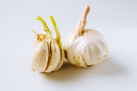 Garlic on white background. Close up of garlic bulb isolated on white background.