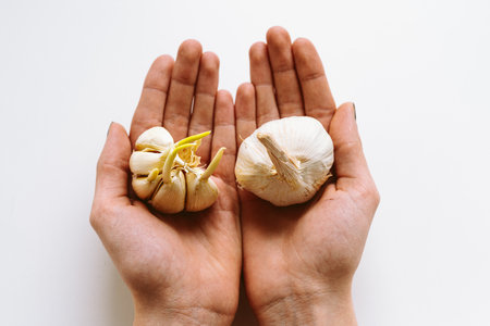 Female hands holding fresh garlic bulbs on white background. top view.の写真素材