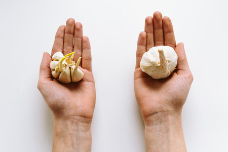 Garlic in woman's hands on white background. top view.の写真素材