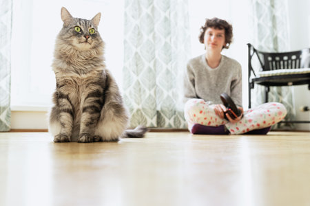Cat sitting on the floor with a woman in the background at homeの写真素材