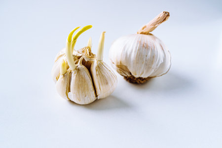 Garlic bulb on a white background. Close-up, selective focus.の写真素材