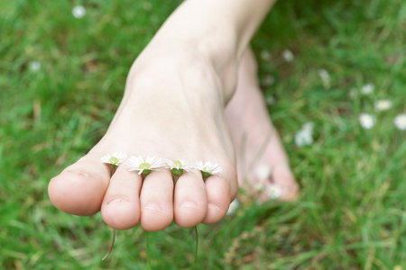 Womens slender bare feet on green grass with daisiesの写真素材