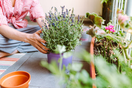 Hobbies gardening floriculture plant careの写真素材