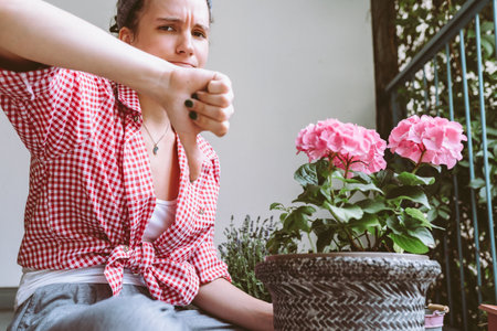 Caring houseplants, decorating balcony or terraceの写真素材