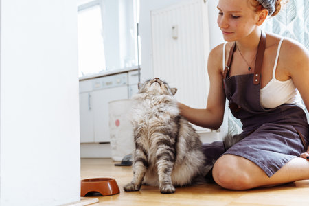 Favorite pet Maine Coon cat and his mistress at homeの写真素材