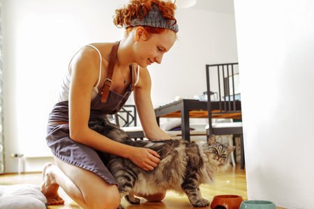 Favorite pet Maine Coon cat and his mistress at homeの写真素材