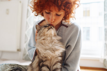 Friendship between domestic cat and pet ownerの写真素材