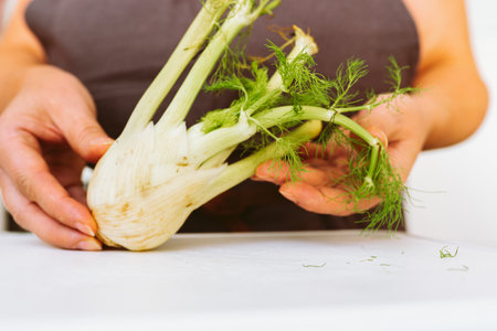 Cooking fennel in your home kitchenの写真素材