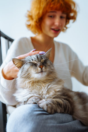 portrait red-haired attractive young woman with fluffy domestic catの写真素材