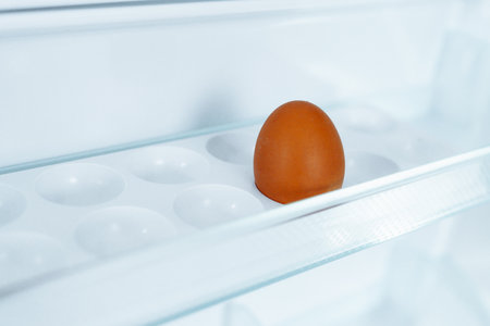 empty refrigerator with one egg in trayの写真素材