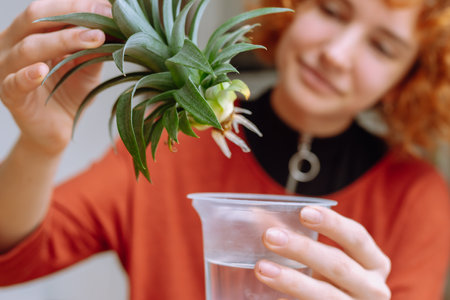 portrait young woman with home plant, decorative pineapple seedlingsの写真素材