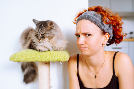 portrait gray fluffy cat sitting on cat tree and teenage girl, cats ownerの写真素材