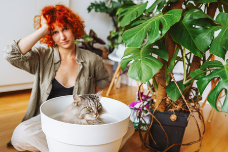 home gardening with your pet. domestic cat sitting inside a flowerpotの写真素材