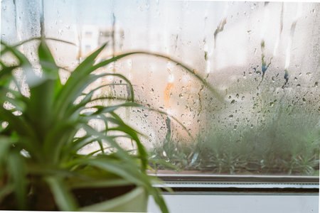 flower pot on windowsill, pineapple, anthurium, near window with moisture evaporationの写真素材