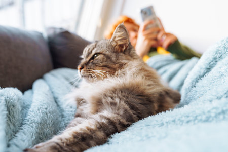 portrait gray fluffy cat lying with young woman on sofaの写真素材
