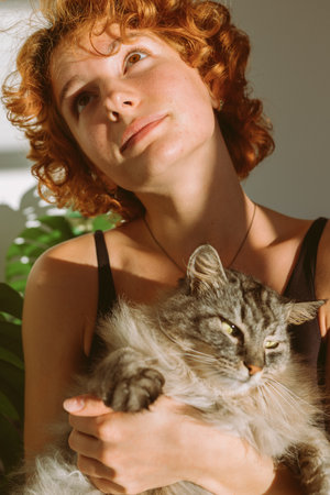 portrait red-haired curly young woman with pet gray fluffy cat in arms, lit by bright sunの写真素材