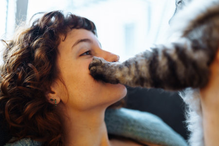 young woman hugging a gray fluffy catの写真素材