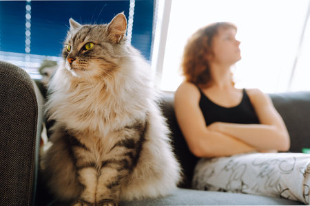 young woman spending time with her catの写真素材