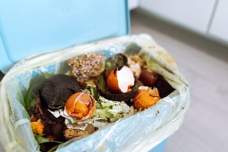 collecting organic food waste at homeの写真素材