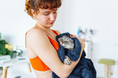 wet washed fluffy domestic cat wrapped in towel in young womans armsの写真素材