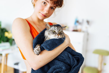 wet washed fluffy domestic cat wrapped in towel in young womans armsの写真素材
