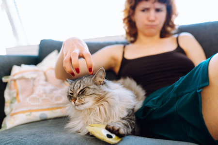 portrait domestic pedigree fluffy cat with young womanの写真素材